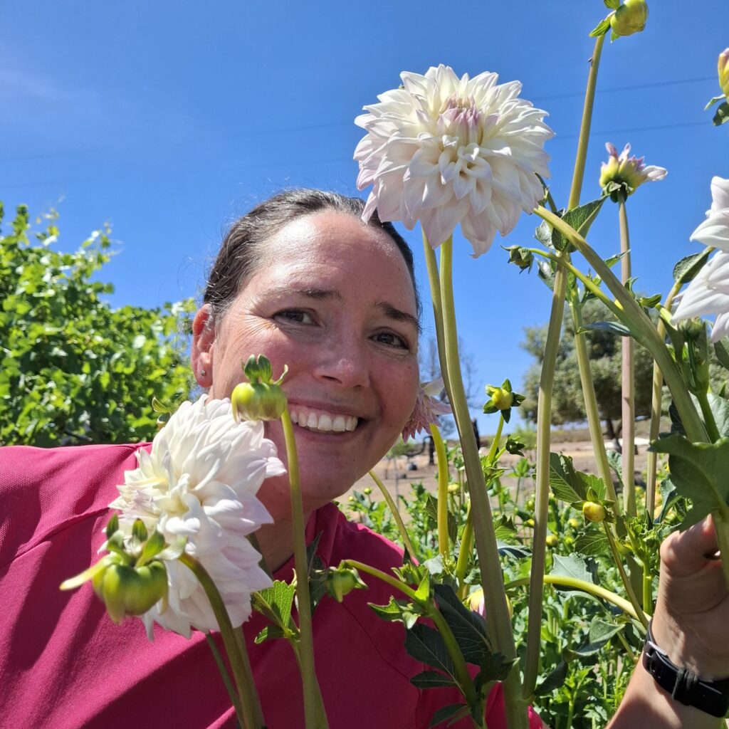 About Blomme meisie owner standing by Dahlias